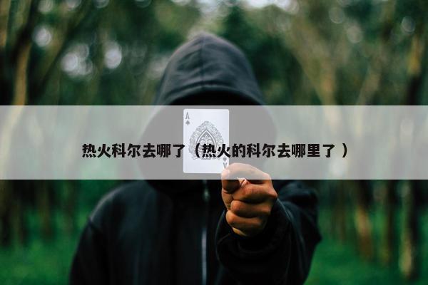 热火科尔去哪了（热火的科尔去哪里了 ）