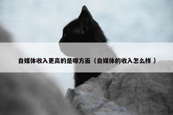 自媒体收入更高的是哪方面（自媒体的收入怎么样 ）