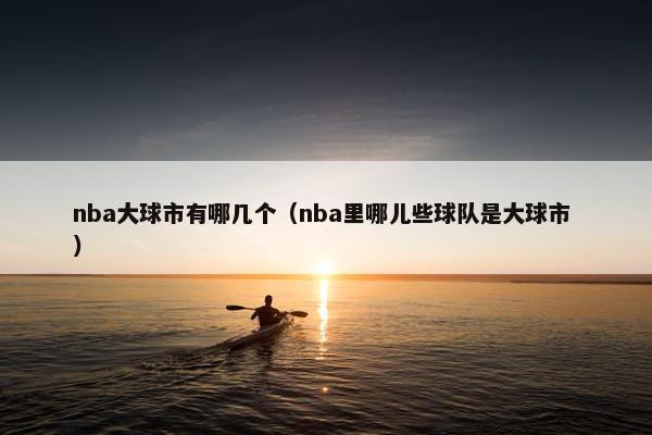 nba大球市有哪几个（nba里哪儿些球队是大球市 ）