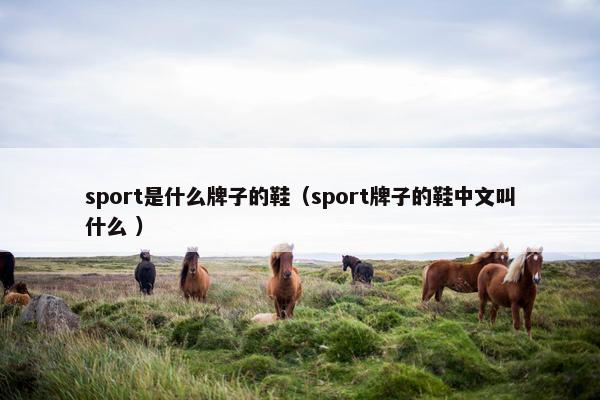 sport是什么牌子的鞋（sport牌子的鞋中文叫什么 ）