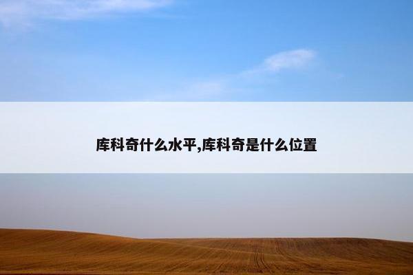 库科奇什么水平,库科奇是什么位置