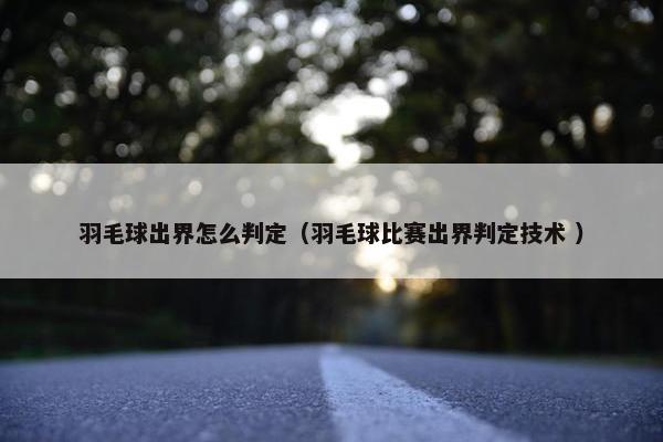 羽毛球出界怎么判定（羽毛球比赛出界判定技术 ）