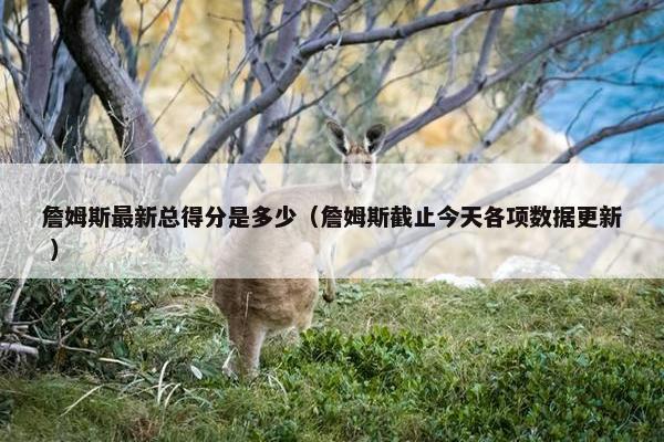 詹姆斯最新总得分是多少（詹姆斯截止今天各项数据更新 ）