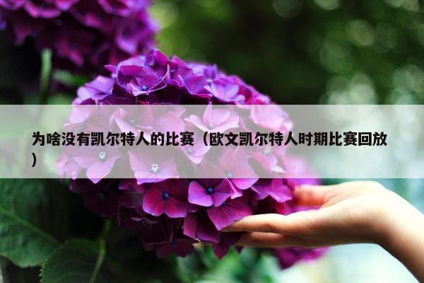 为啥没有凯尔特人的比赛（欧文凯尔特人时期比赛回放 ）