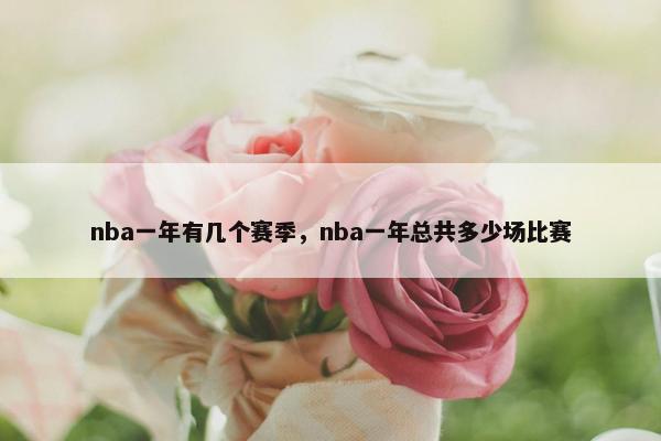 nba一年有几个赛季，nba一年总共多少场比赛