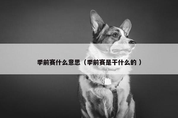 季前赛什么意思（季前赛是干什么的 ）