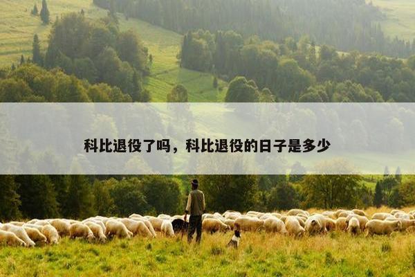 科比退役了吗，科比退役的日子是多少