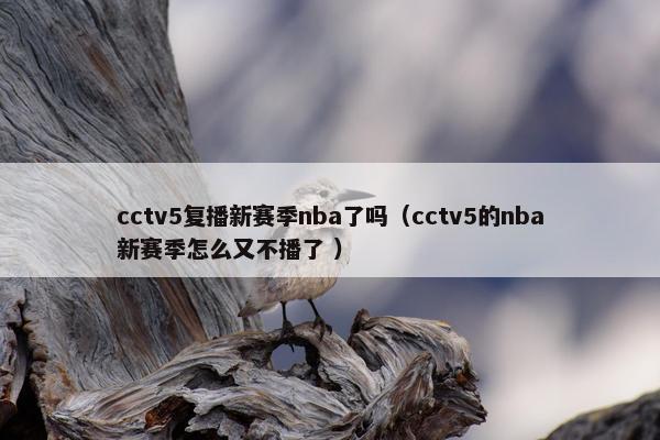 cctv5复播新赛季nba了吗（cctv5的nba新赛季怎么又不播了 ）