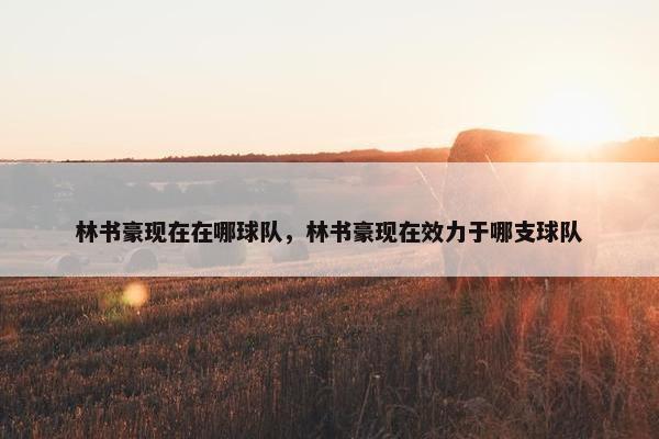 林书豪现在在哪球队，林书豪现在效力于哪支球队