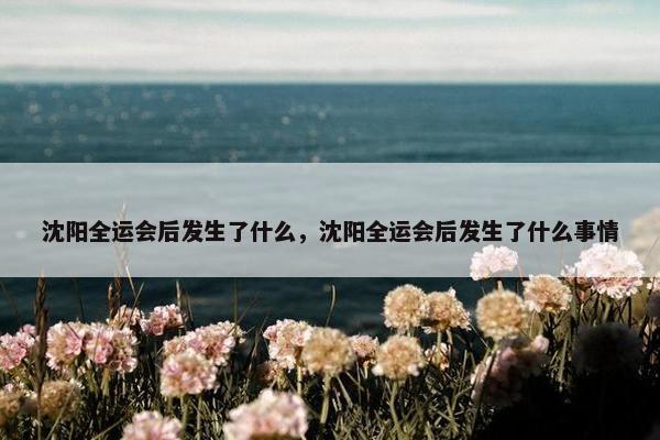 沈阳全运会后发生了什么，沈阳全运会后发生了什么事情