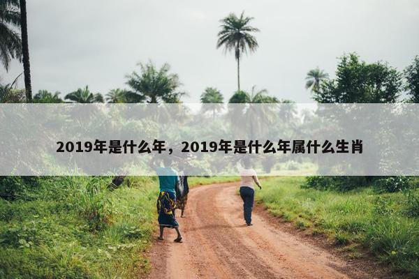 2019年是什么年，2019年是什么年属什么生肖