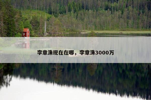 李章洙现在在哪，李章洙3000万