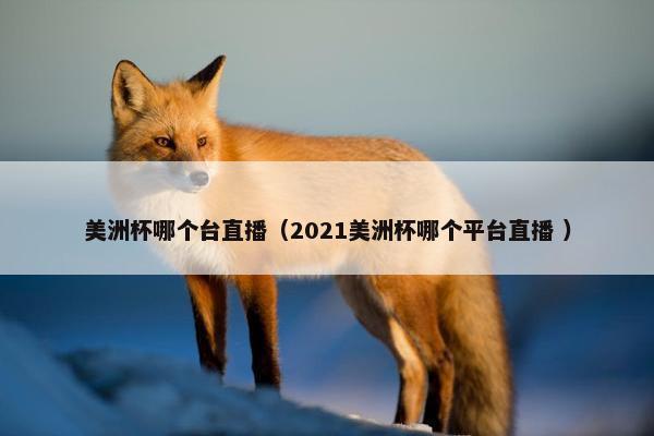 美洲杯哪个台直播（2021美洲杯哪个平台直播 ）