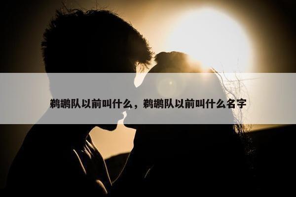 鹈鹕队以前叫什么，鹈鹕队以前叫什么名字