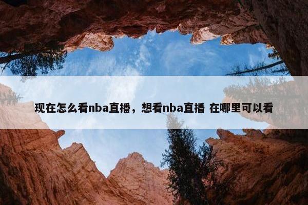 现在怎么看nba直播，想看nba直播 在哪里可以看