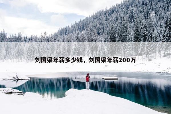 刘国梁年薪多少钱，刘国梁年薪200万