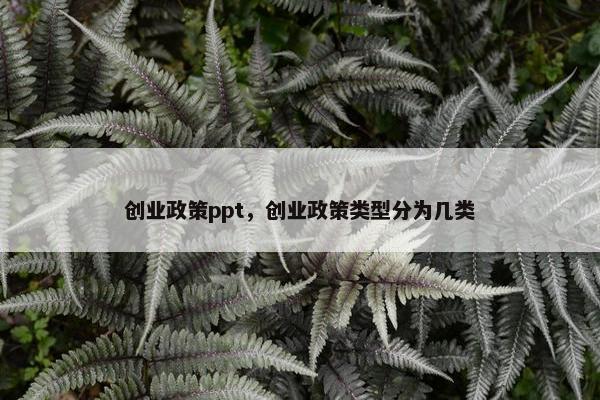 创业政策ppt，创业政策类型分为几类