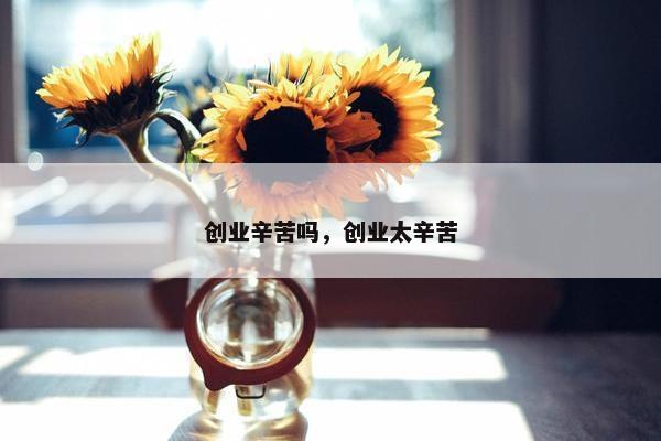 创业辛苦吗，创业太辛苦