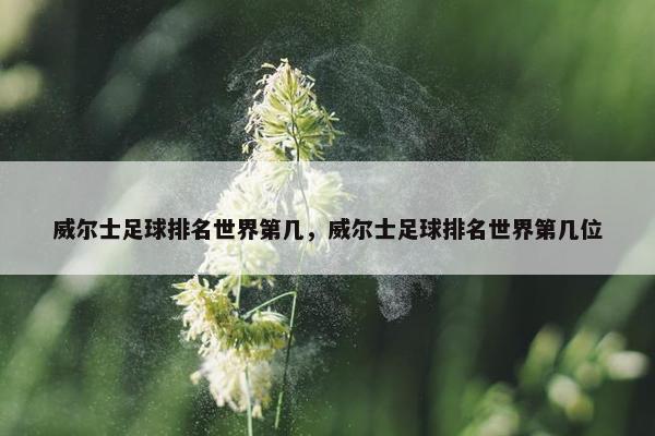 威尔士足球排名世界第几，威尔士足球排名世界第几位