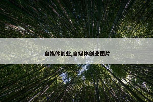 自媒体创业,自媒体创业图片