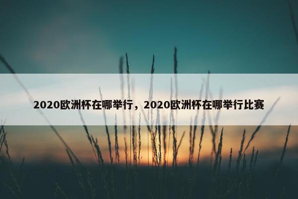 2020欧洲杯在哪举行，2020欧洲杯在哪举行比赛