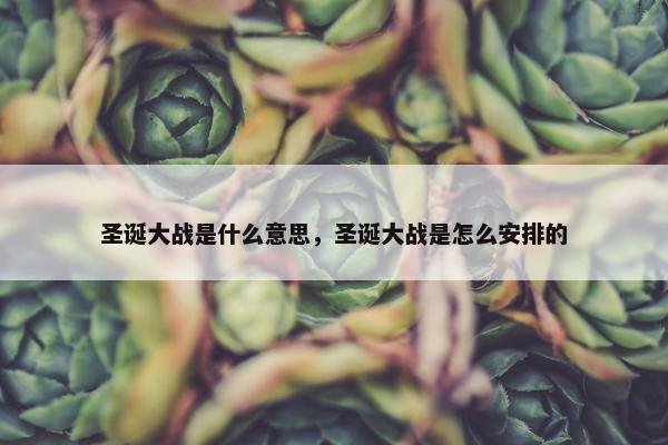 圣诞大战是什么意思，圣诞大战是怎么安排的