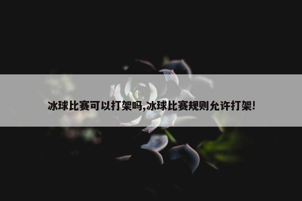 冰球比赛可以打架吗,冰球比赛规则允许打架!