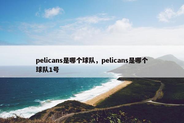 pelicans是哪个球队，pelicans是哪个球队1号