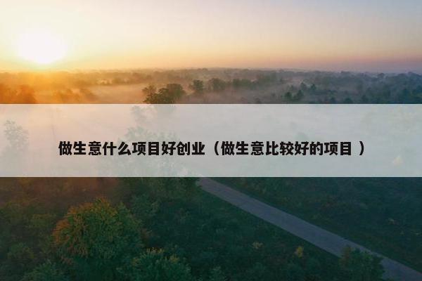 做生意什么项目好创业（做生意比较好的项目 ）