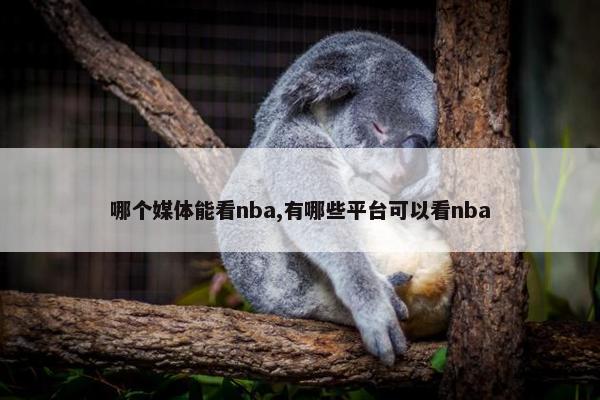 哪个媒体能看nba,有哪些平台可以看nba