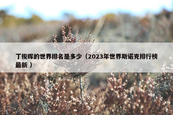 丁俊晖的世界排名是多少（2023年世界斯诺克排行榜最新 ）