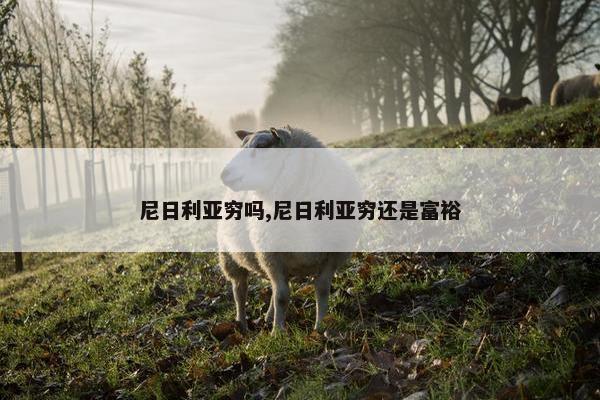 尼日利亚穷吗,尼日利亚穷还是富裕