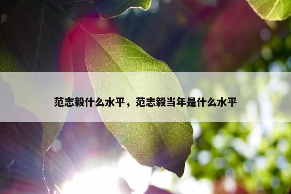 范志毅什么水平，范志毅当年是什么水平