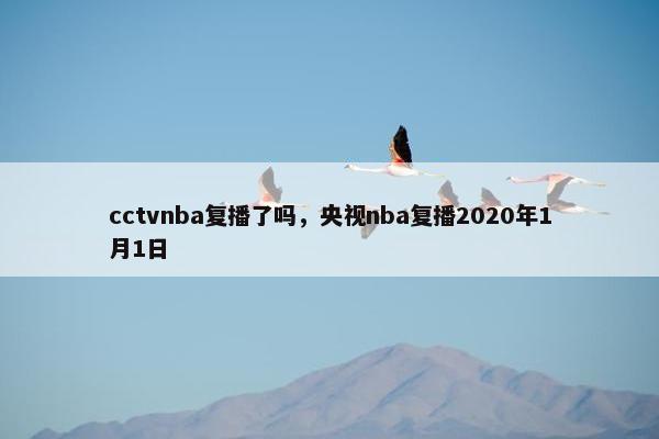 cctvnba复播了吗，央视nba复播2020年1月1日