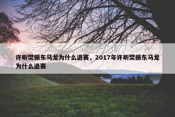 许昕樊振东马龙为什么退赛，2017年许昕樊振东马龙为什么退赛