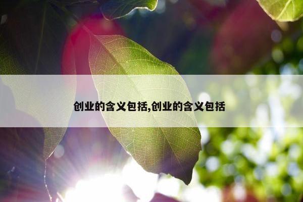 创业的含义包括,创业的含义包括 