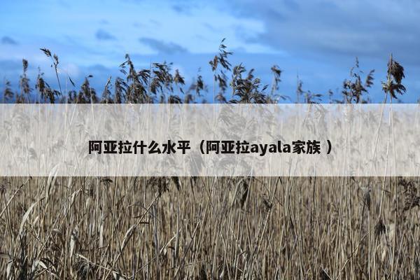 阿亚拉什么水平（阿亚拉ayala家族 ）