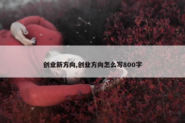 创业新方向,创业方向怎么写800字