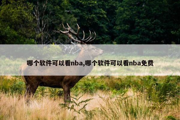 哪个软件可以看nba,哪个软件可以看nba免费