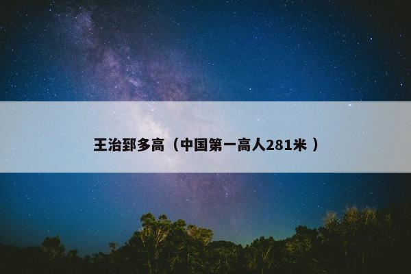 王治郅多高（中国第一高人281米 ）