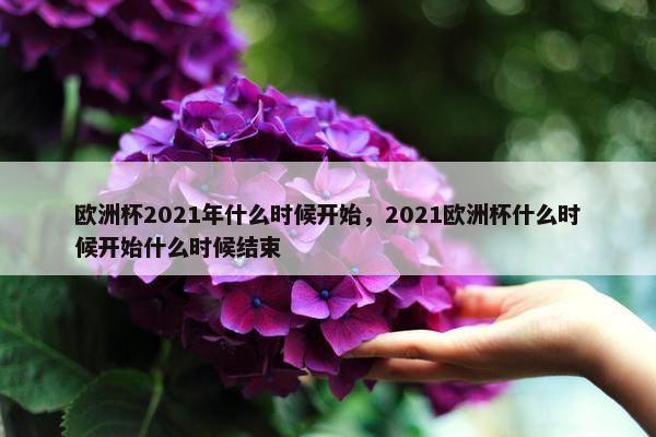 欧洲杯2021年什么时候开始，2021欧洲杯什么时候开始什么时候结束