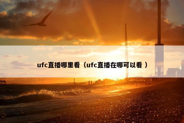 ufc直播哪里看（ufc直播在哪可以看 ）