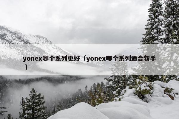 yonex哪个系列更好（yonex哪个系列适合新手 ）