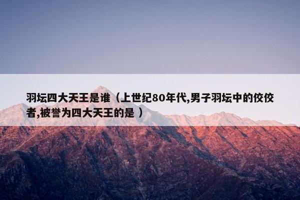 羽坛四大天王是谁（上世纪80年代,男子羽坛中的佼佼者,被誉为四大天王的是 ）