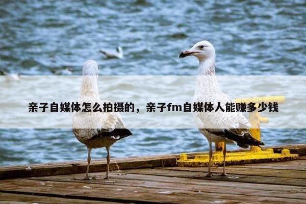 亲子自媒体怎么拍摄的，亲子fm自媒体人能赚多少钱