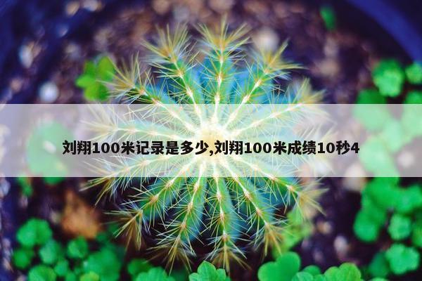 刘翔100米记录是多少,刘翔100米成绩10秒4