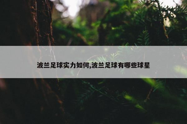 波兰足球实力如何,波兰足球有哪些球星