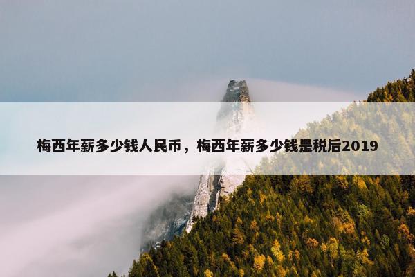 梅西年薪多少钱人民币，梅西年薪多少钱是税后2019