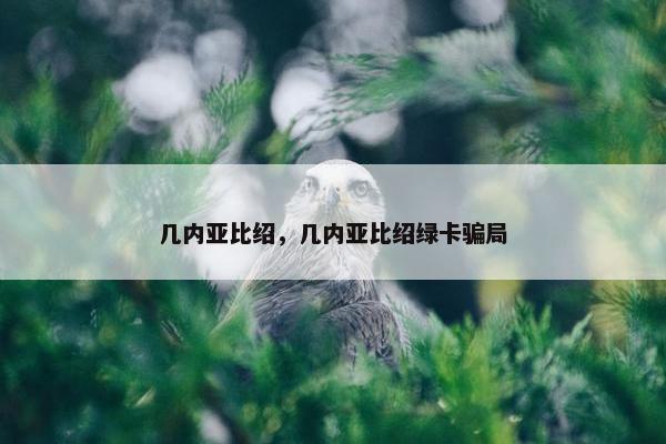 几内亚比绍，几内亚比绍绿卡骗局