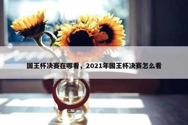 国王杯决赛在哪看，2021年国王杯决赛怎么看